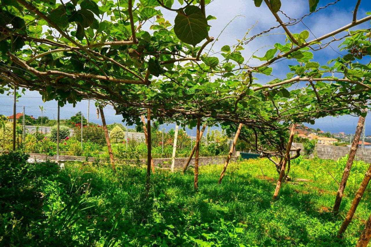 Os Ferreirinhos, A Home In Madeira Đảo São Jorge Ngoại thất bức ảnh