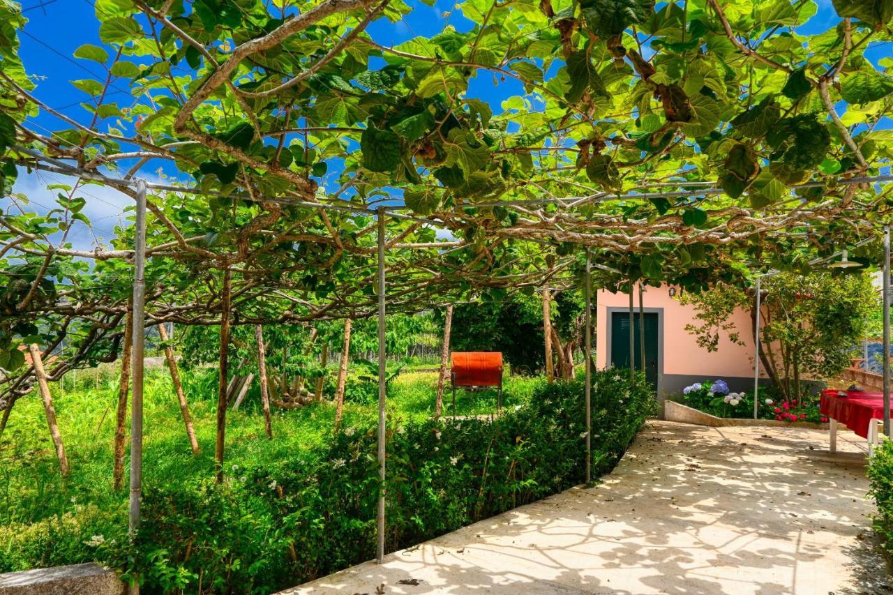 Os Ferreirinhos, A Home In Madeira Đảo São Jorge Ngoại thất bức ảnh